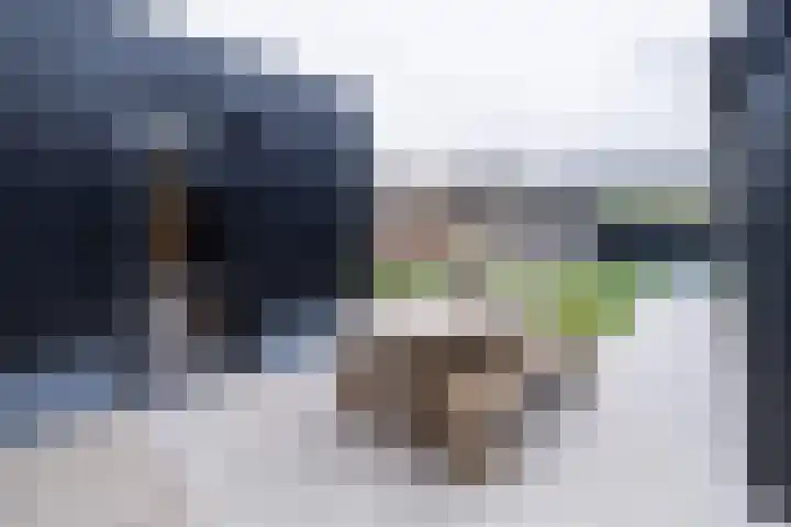Noordersingel 136 Voorthuizen thumbnail 40