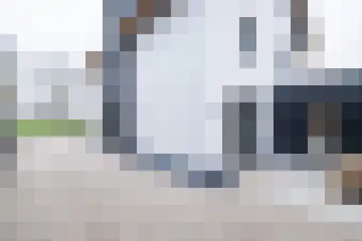 Noordersingel 136 Voorthuizen thumbnail 50