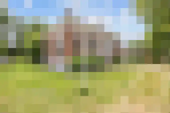 Noordersingel 18 Appingedam thumbnail 4