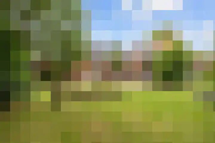 Noordersingel 18 Appingedam thumbnail 62