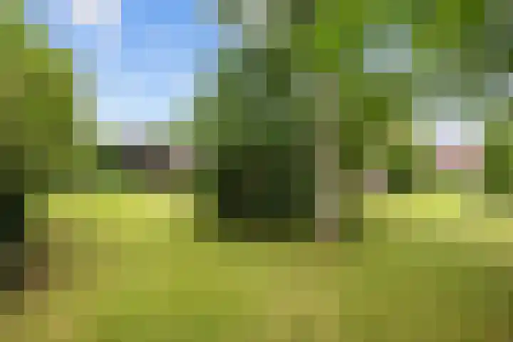Noordersingel 18 Appingedam thumbnail 68