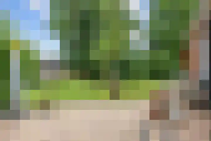 Noordersingel 18 Appingedam thumbnail 76
