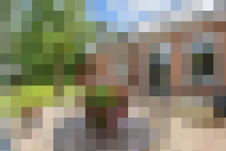Noordersingel 18 Appingedam thumbnail 77