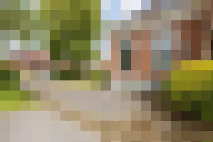 Noordersingel 18 Appingedam thumbnail 80