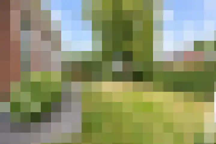 Noordersingel 18 Appingedam thumbnail 81