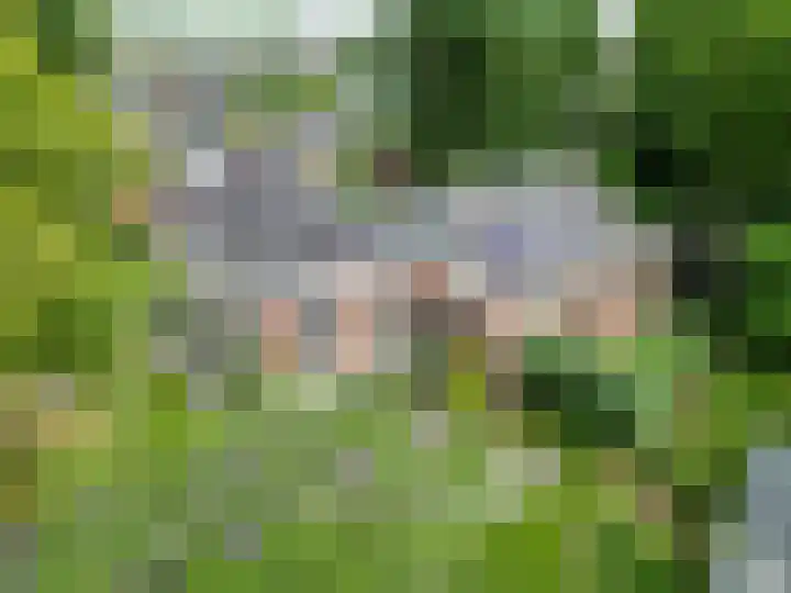 Noordersingel 18 Appingedam thumbnail 88