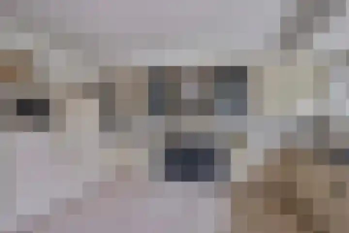 Noordersingel 18 Barendrecht thumbnail 13