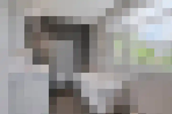 Noordersingel 18 Barendrecht thumbnail 26