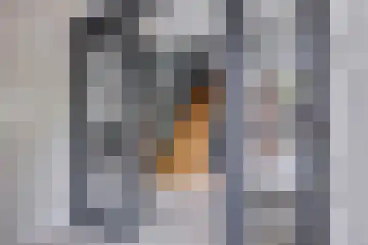 Noordersingel 18 Barendrecht thumbnail 32