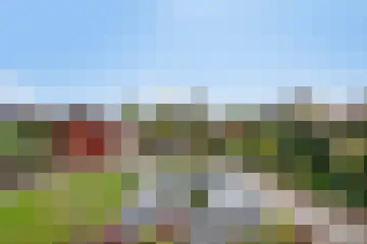 Noordersingel 18 Barendrecht thumbnail 39
