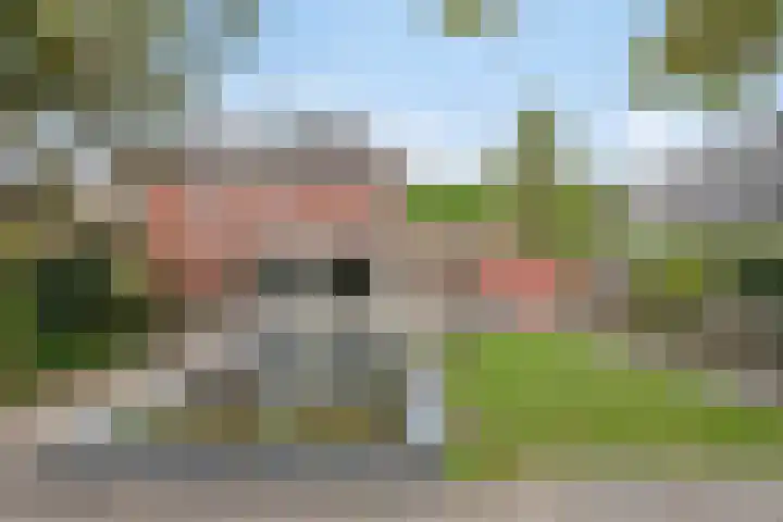 Noordersingel 18 Barendrecht thumbnail 41