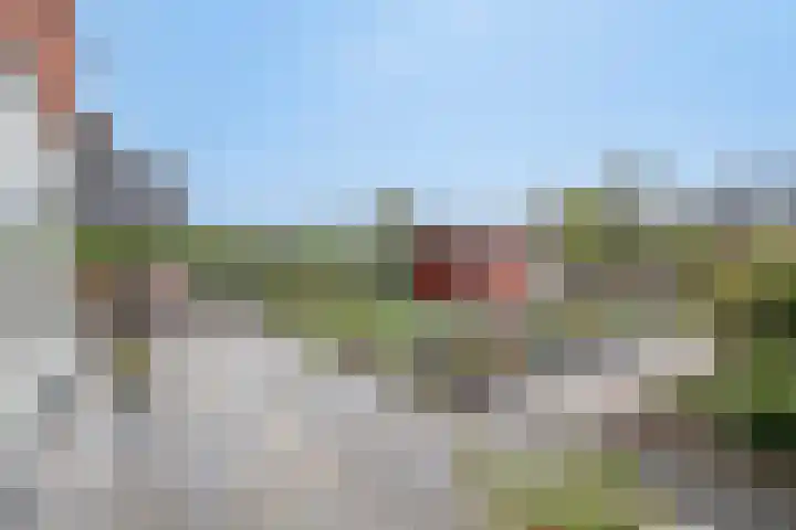 Noordersingel 18 Barendrecht thumbnail 50
