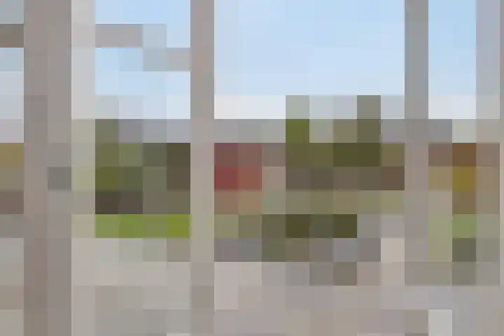 Noordersingel 18 Barendrecht thumbnail 6