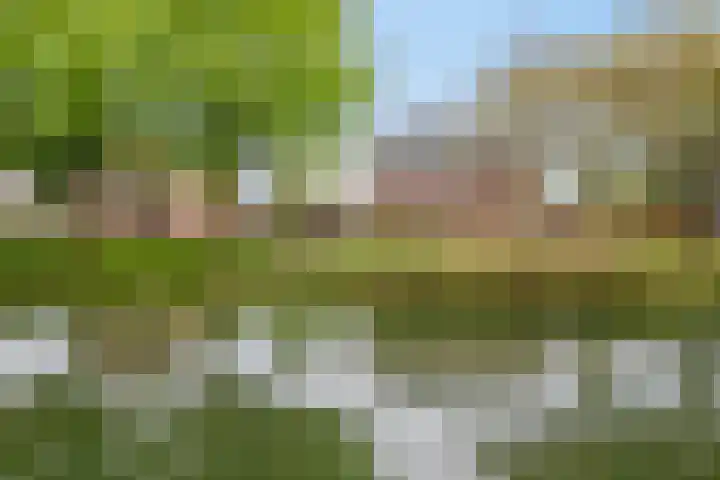 Noordersingel 18 Barendrecht thumbnail 60