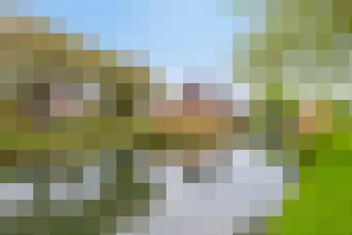 Noordersingel 18 Barendrecht thumbnail 61