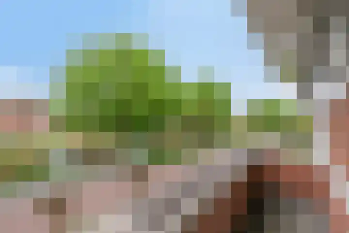 Noordersingel 18 Barendrecht thumbnail 63