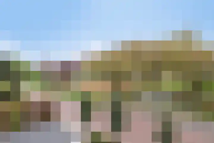 Noordersingel 18 Barendrecht thumbnail 66