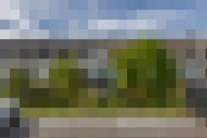 Noordersingel 19 Berkel en Rodenrijs thumbnail 6