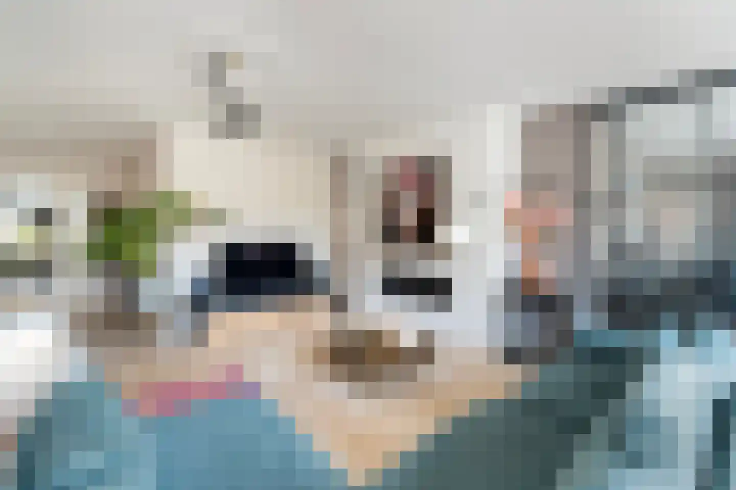 Noordersingel 2 c Berkel en Rodenrijs thumbnail 12