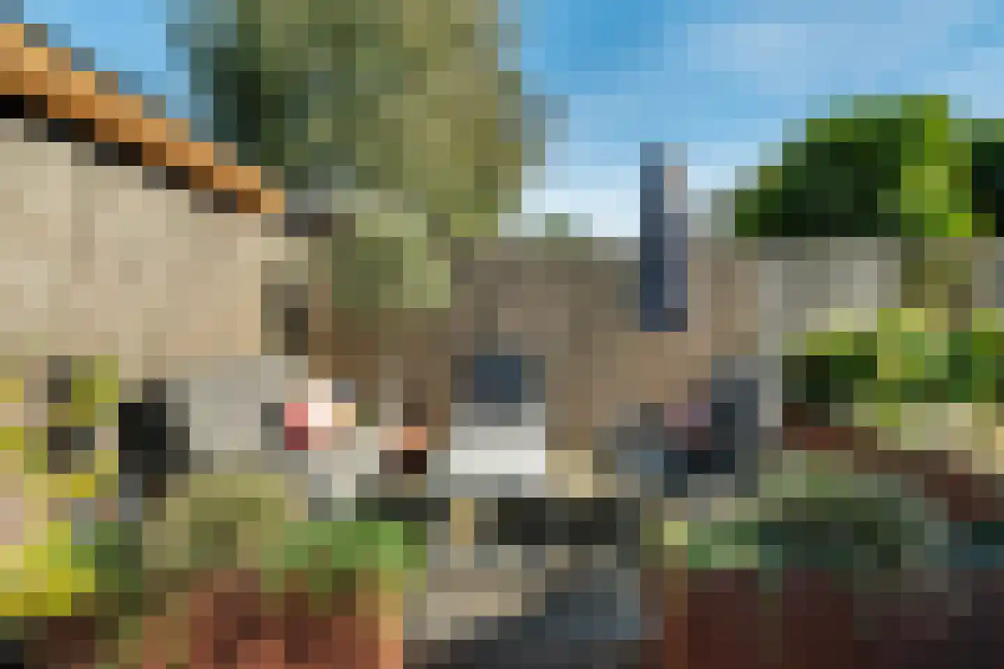 Noordersingel 2 c Berkel en Rodenrijs thumbnail 20