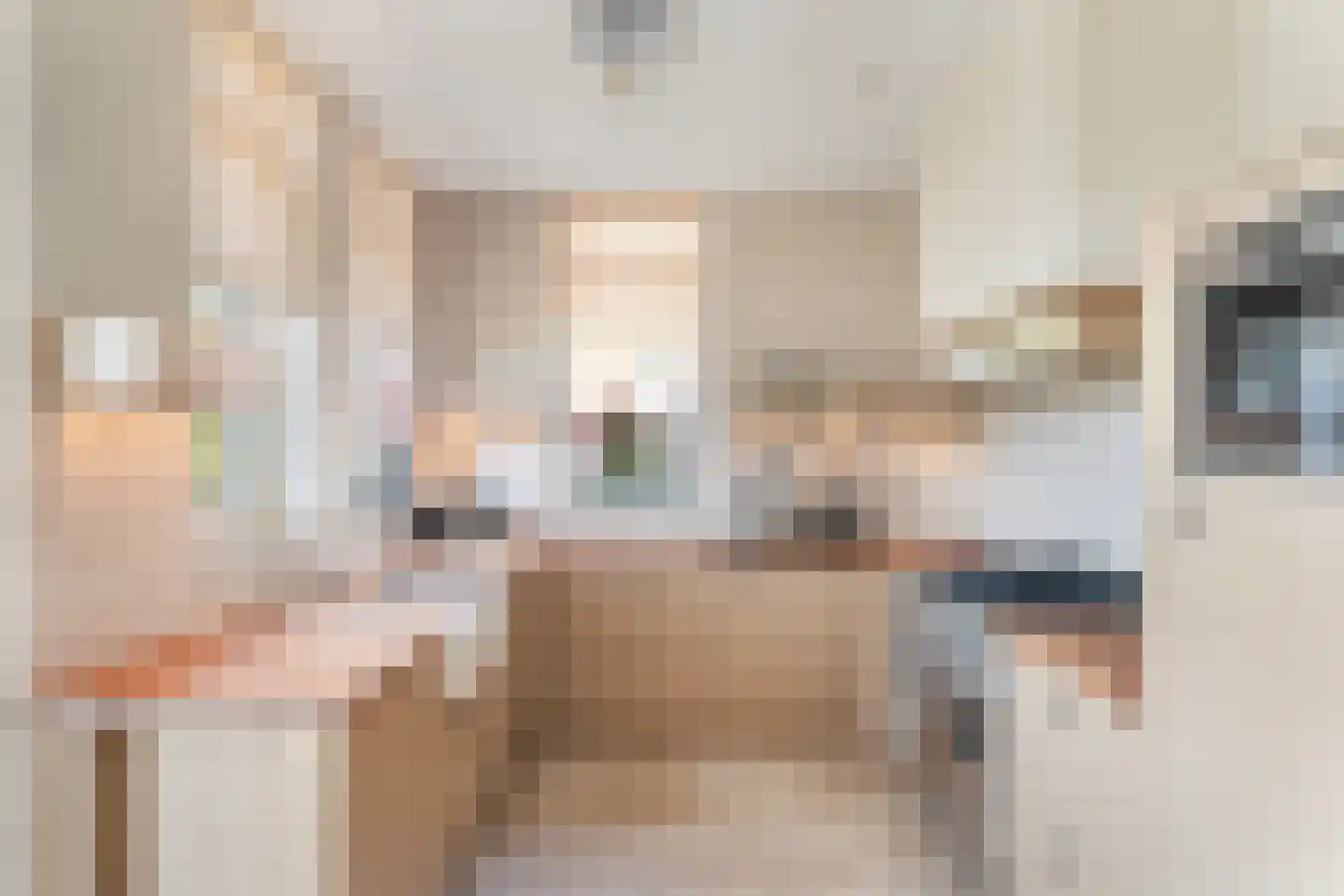 Noordersingel 2 c Berkel en Rodenrijs thumbnail 28