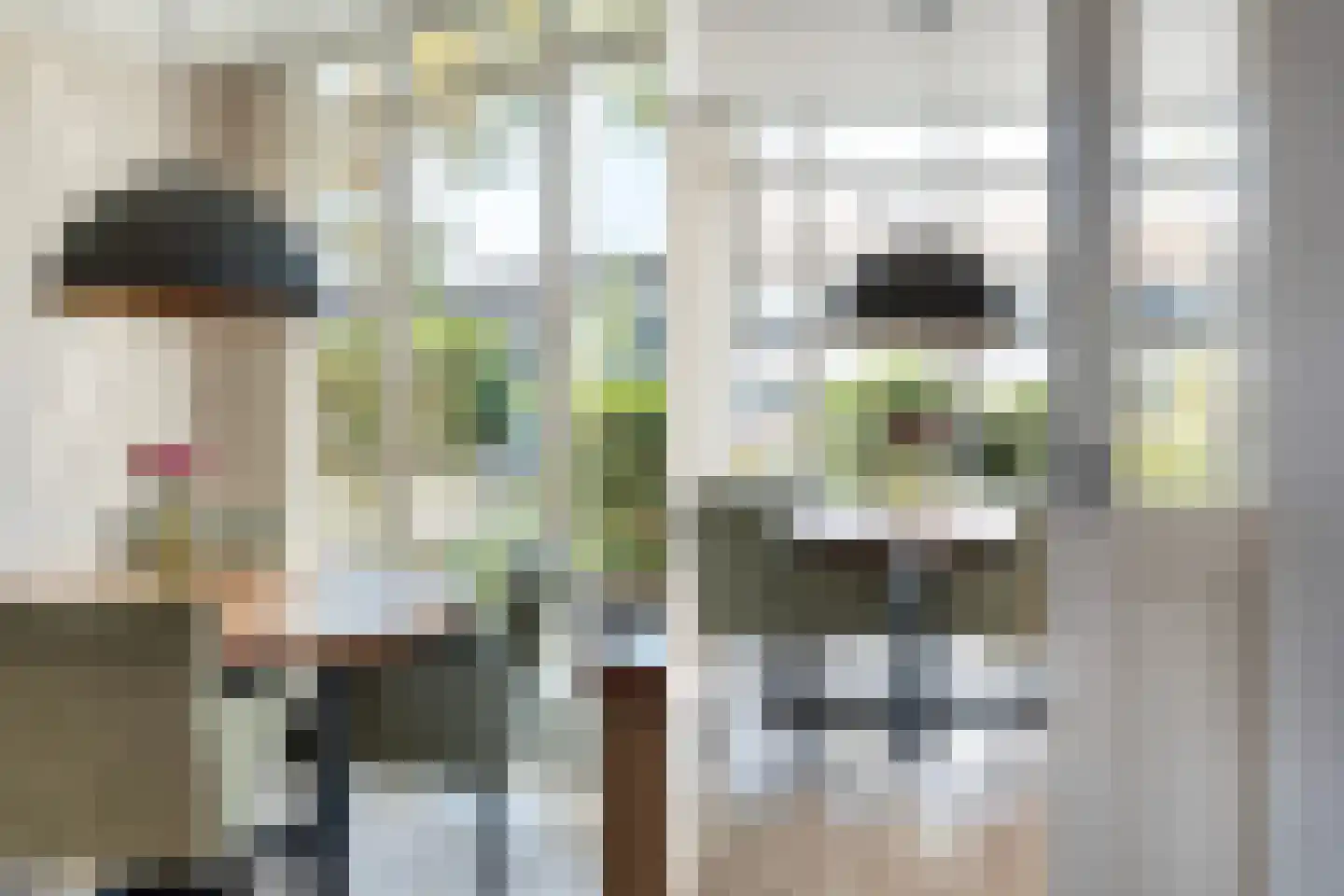 Noordersingel 2 c Berkel en Rodenrijs thumbnail 30