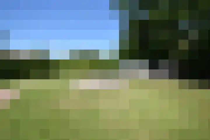 Noordersingel 28 Burgum thumbnail 10