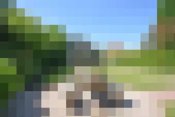 Noordersingel 28 Burgum thumbnail 12