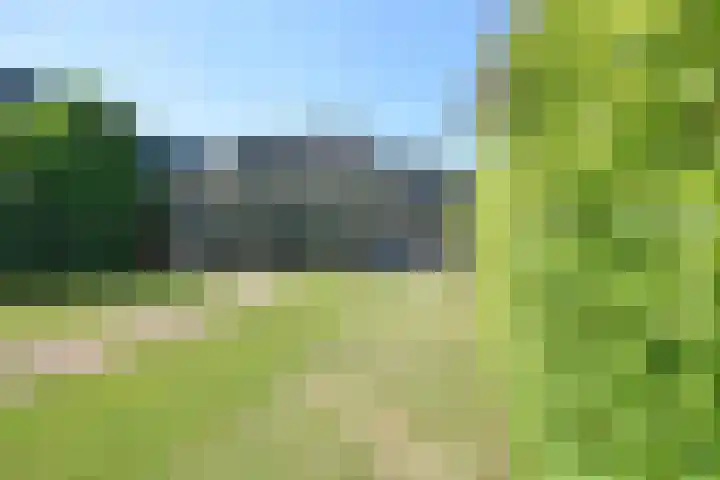 Noordersingel 28 Burgum thumbnail 13