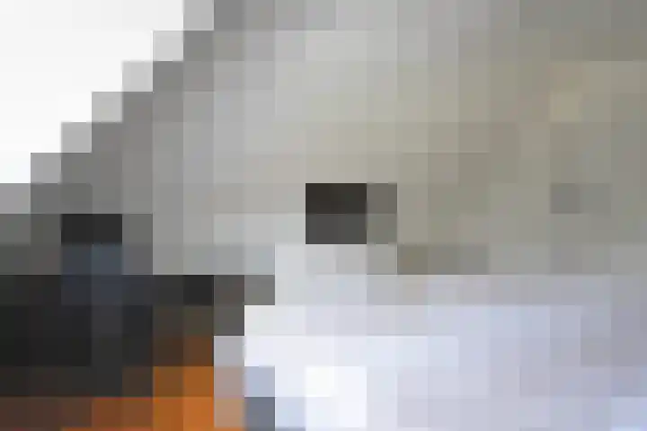 Noordersingel 28 Burgum thumbnail 57