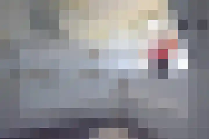 Noordersingel 28 Burgum thumbnail 71