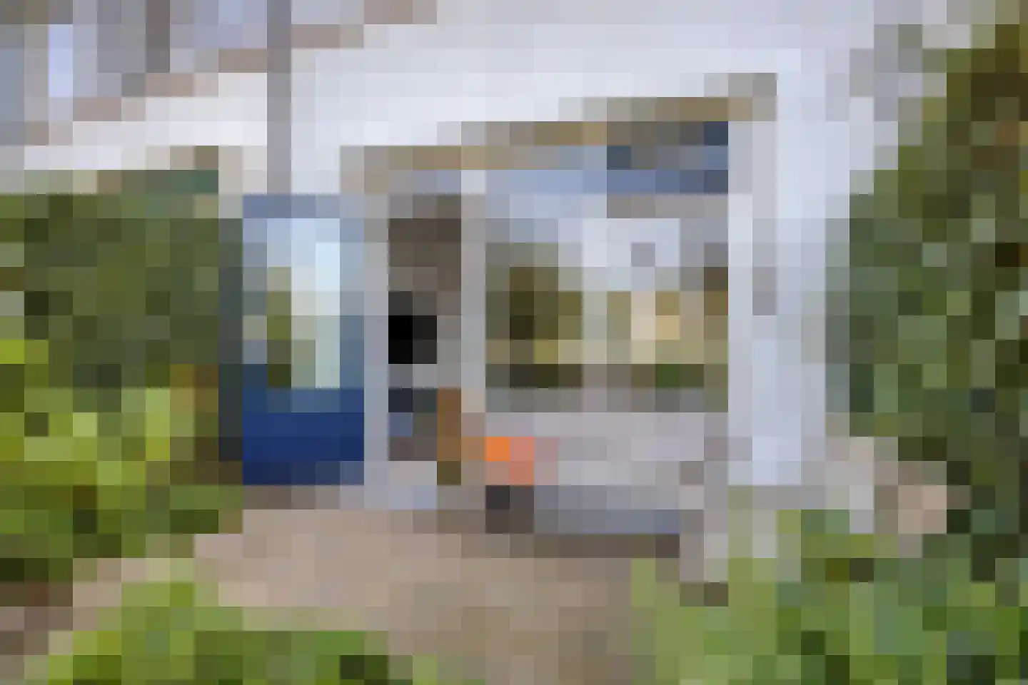 Noordersingel 30 Berkel en Rodenrijs thumbnail 7