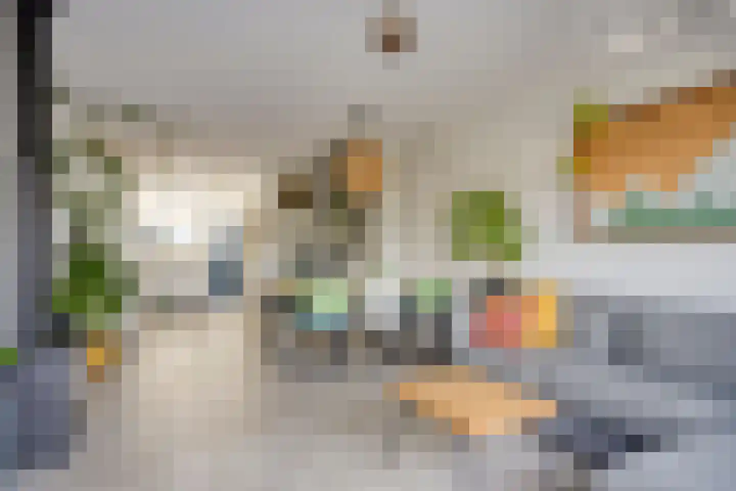 Noordersingel 30 Berkel en Rodenrijs thumbnail 9