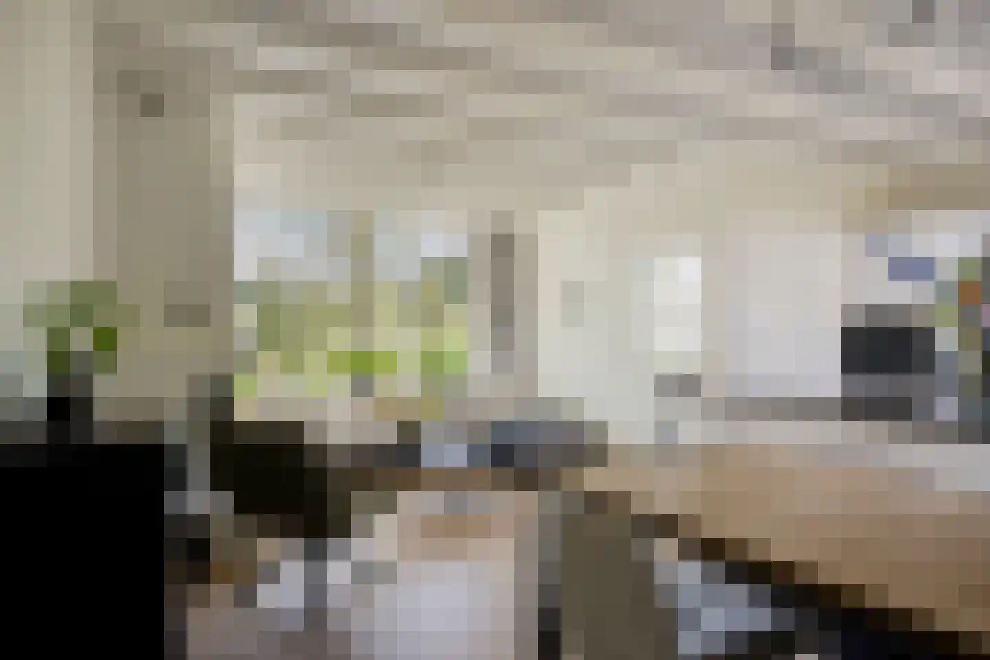 Noordersingel 30 Papendrecht thumbnail 10