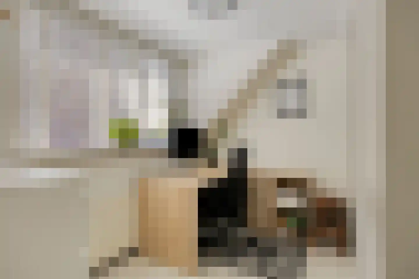 Noordersingel 30 Papendrecht thumbnail 32