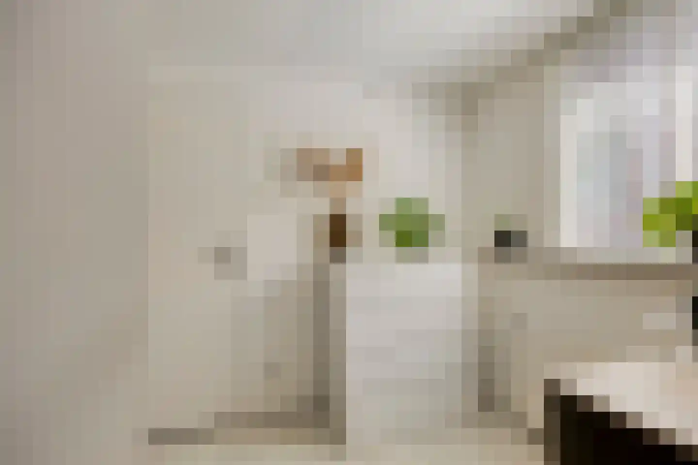 Noordersingel 30 Papendrecht thumbnail 33