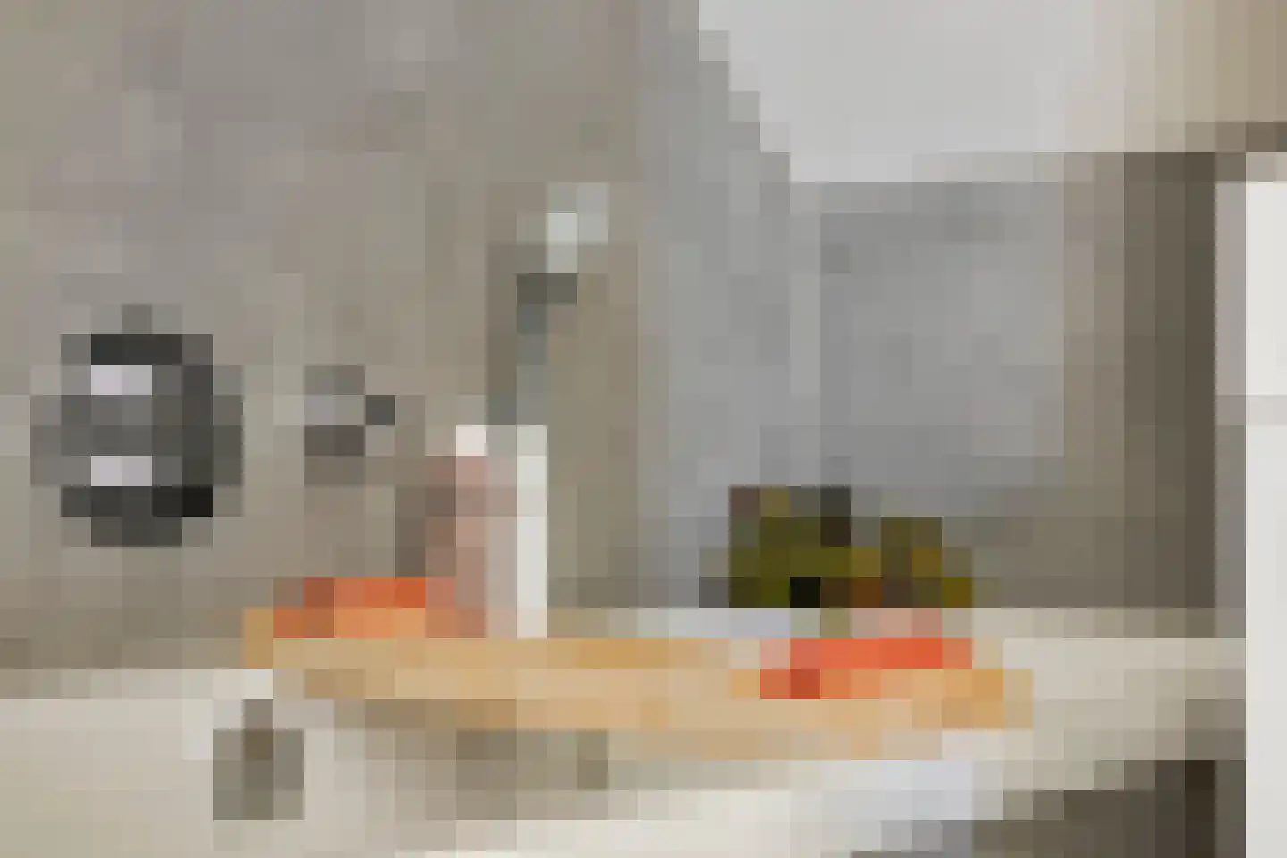 Noordersingel 30 Papendrecht thumbnail 35