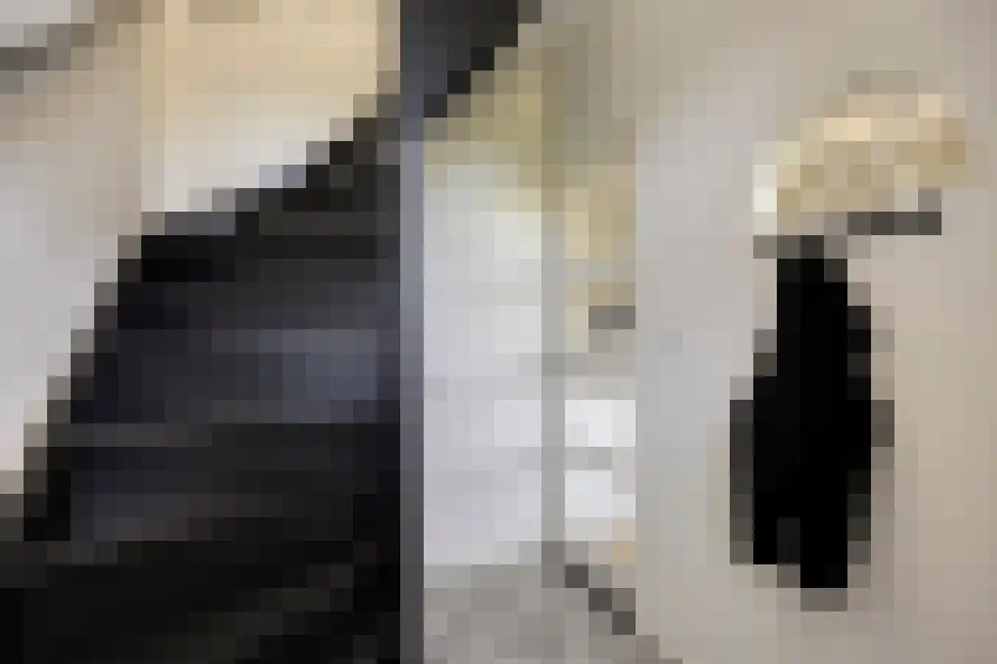 Noordersingel 30 Papendrecht thumbnail 4