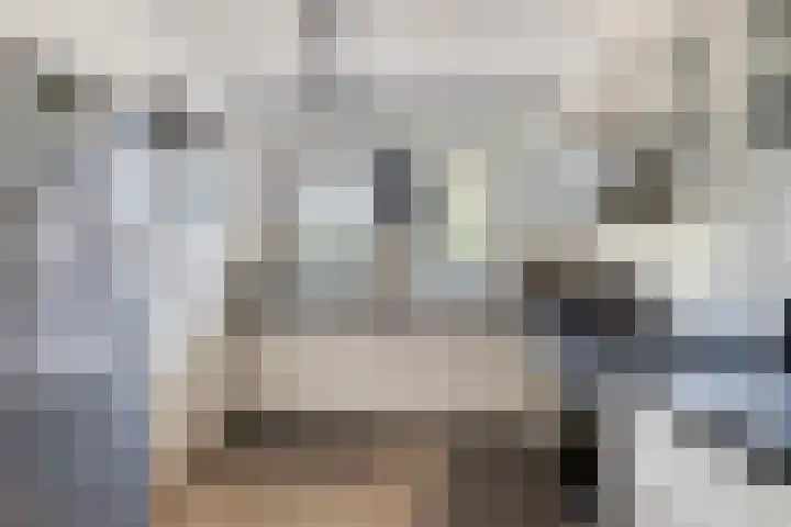 Noordersingel 37 Barendrecht thumbnail 10