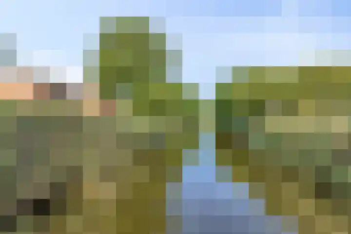Noordersingel 37 Barendrecht thumbnail 29