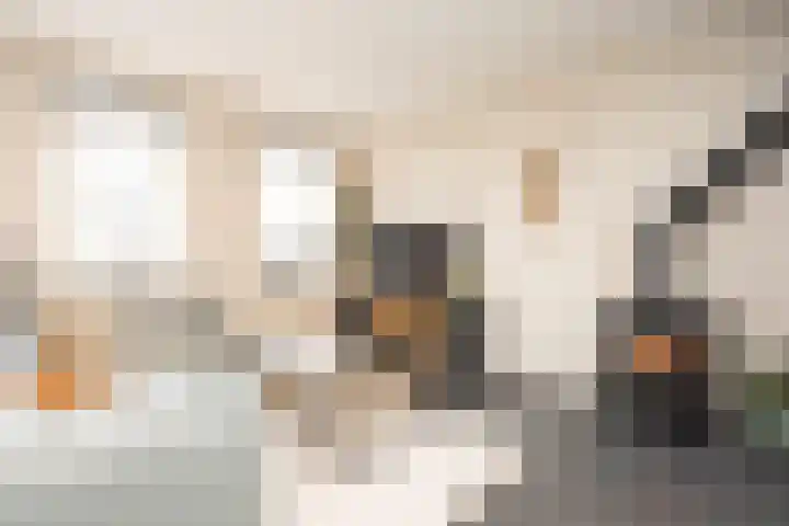 Noordersingel 37 Berkel en Rodenrijs thumbnail 20