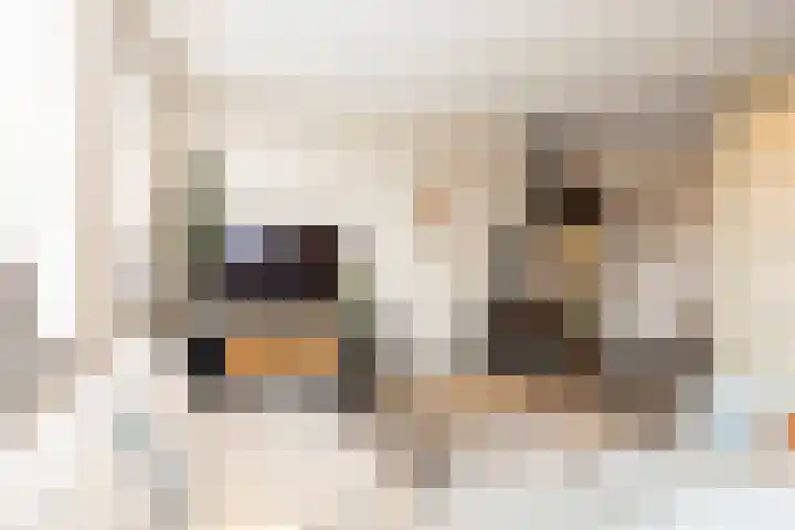 Noordersingel 37 Berkel en Rodenrijs thumbnail 21
