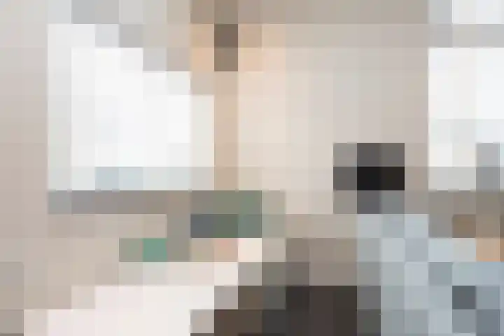 Noordersingel 37 Berkel en Rodenrijs thumbnail 22