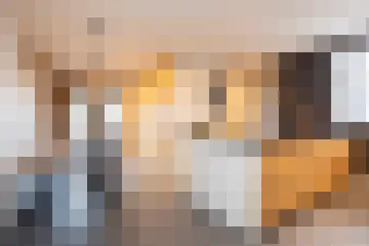 Noordersingel 37 Berkel en Rodenrijs thumbnail 24
