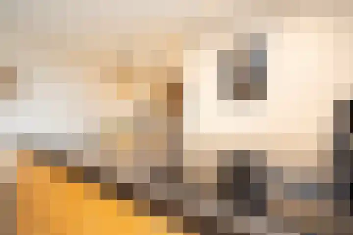 Noordersingel 37 Berkel en Rodenrijs thumbnail 30