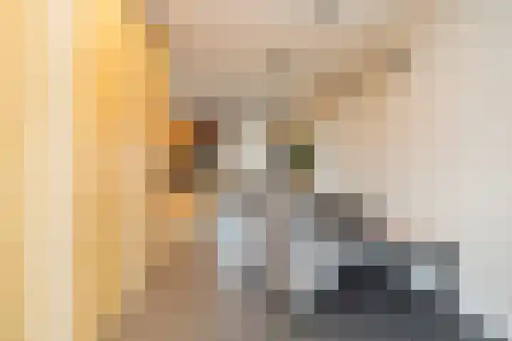 Noordersingel 37 Berkel en Rodenrijs thumbnail 31