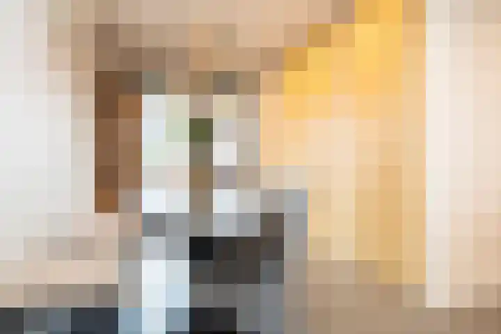 Noordersingel 37 Berkel en Rodenrijs thumbnail 33