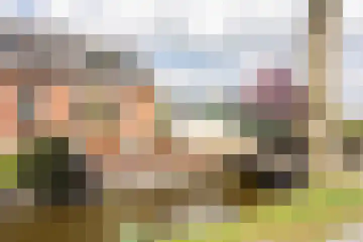 Noordersingel 37 Berkel en Rodenrijs thumbnail 5