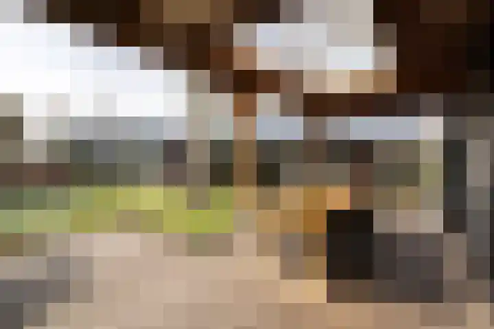 Noordersingel 37 Berkel en Rodenrijs thumbnail 52