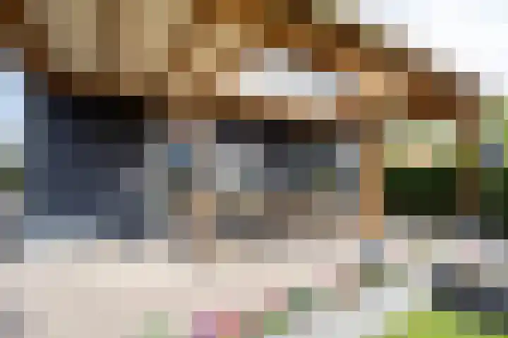 Noordersingel 37 Berkel en Rodenrijs thumbnail 56